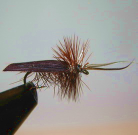 ���� ����� Dry fly  